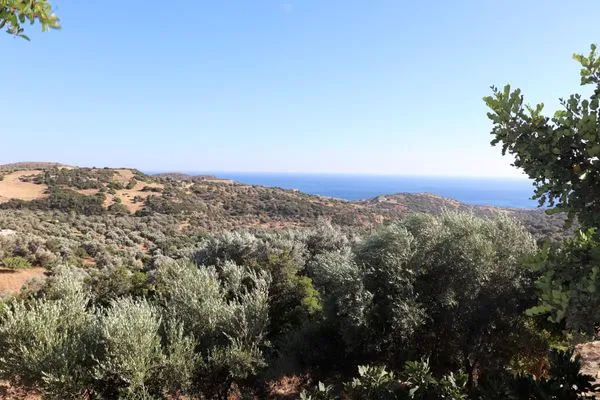 Sea view  Amathianis