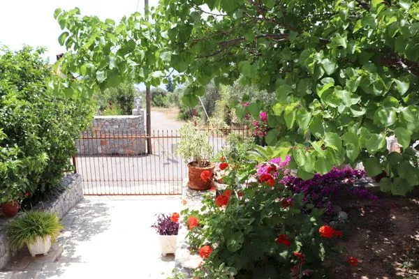 Fassade / Eingang  Amanda