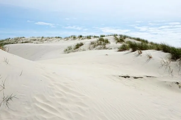 Dünenlandschaft auf der Nordseeinsel Amrum Haus *Weiße Düne* Ferienwohnung Weiße Düne 4