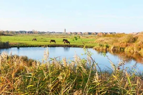 Nachbarschaft Ferienhaus Under de Diek Ferienwohnung 8