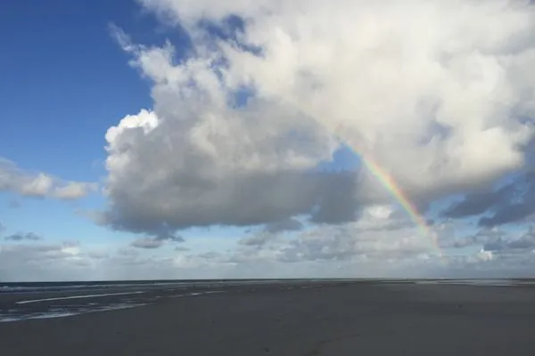 Landschaft Erika's Hüs Ferienwohnung „Gül Waanang"
