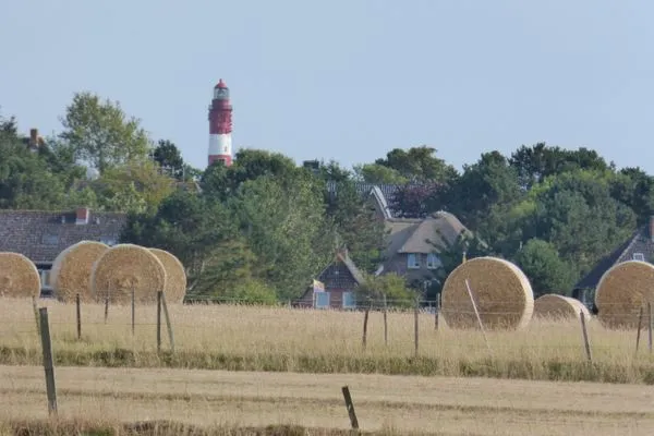 Landschaft Erika's Hüs Ferienwohnung „Gül Waanang"