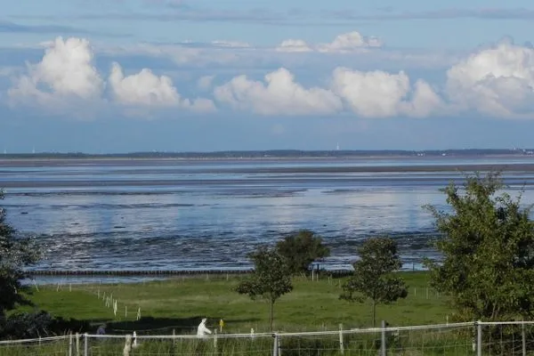Landschaft Erika's Hüs Ferienwohnung „Gül Waanang"
