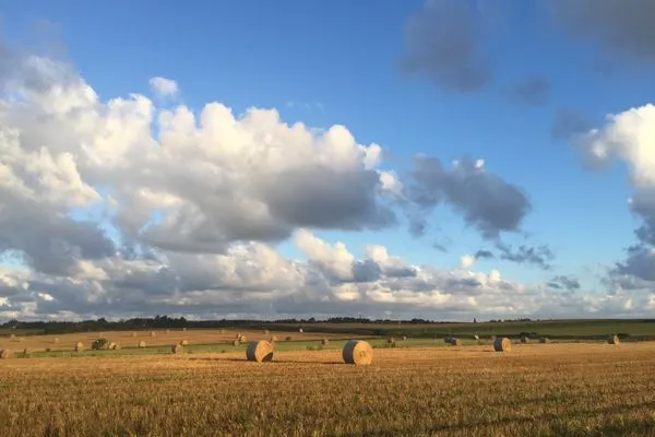 Landschaft  Ferienwohnung *Fenja*