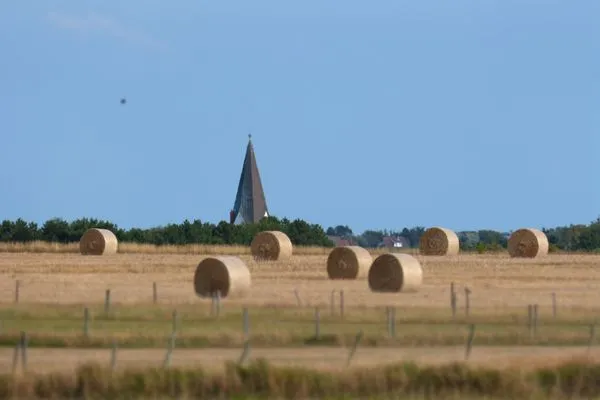Landschaft  Ferienwohnung *Fenja*