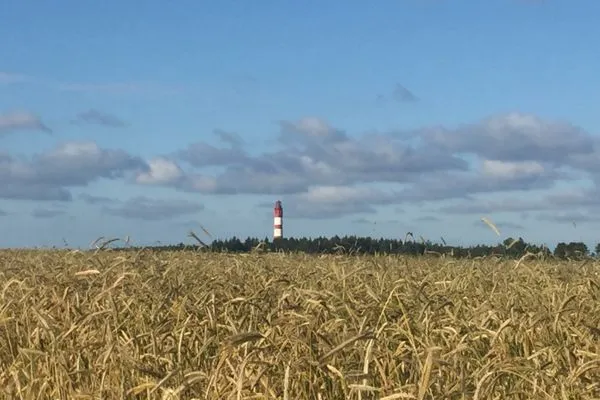 Landschaft  Ferienwohnung *Fenja*