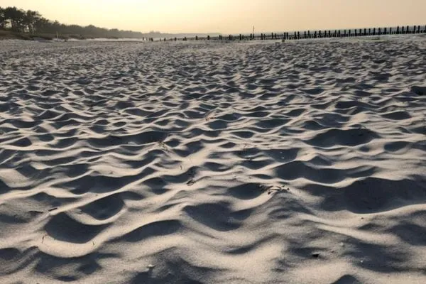 Strandsand und Meerblick Residenz am Strand Dünentraum -  Wohnung 1-05