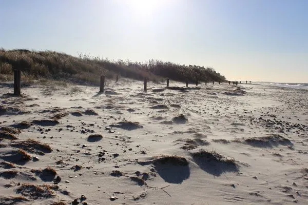 Bild vom Strand in Zingst Residenz am Strand Wohnung 2-40