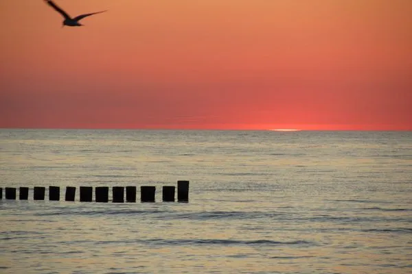 Sonnenuntergang mit Buhnen in der Ostsee Residenz am Strand Wohnung 2-40