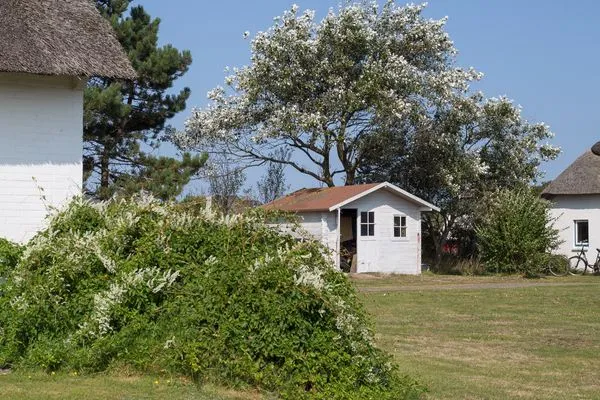  Haus Bräätlun Ferienwohnung Bräätlun 5
