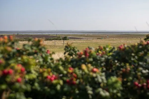  Haus Bräätlun Ferienwohnung Bräätlun 5