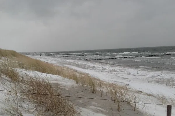 Strandaufnahme Logierhaus Friedrich WE 15 - "Ostseeluft"