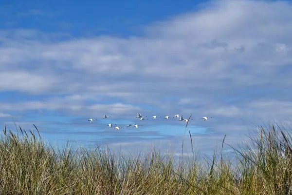Dünenbild Kavelweg 13 Kavelweg 13 Wohnung 4 - Kleiner Käptn