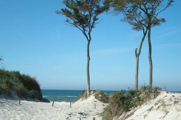 Strandbild Kavelweg 13 Kavelweg 13 Wohnung 4 - Kleiner Käptn