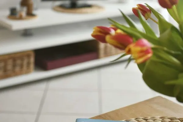 Dekoratives Detail Haus Passat Ferienwohnung 23