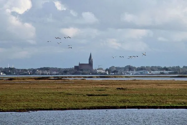 Zingster Bodden  Glebbe 17 - Wohnung Südblick