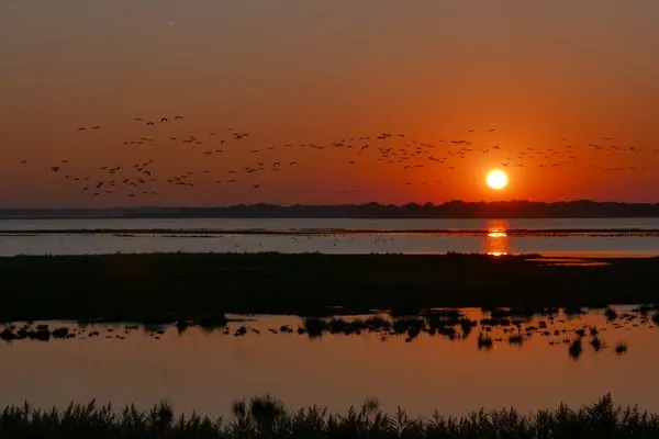 Sonnenuntergang Hafenstrasse 15 in Prerow Ibykus in Prerow