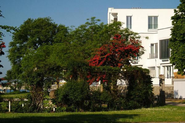 Gartenblick