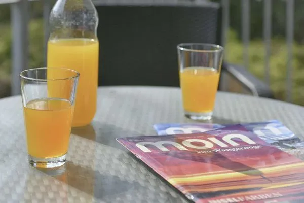 Balkon Haus Oldenburg Ferienwohnung 5