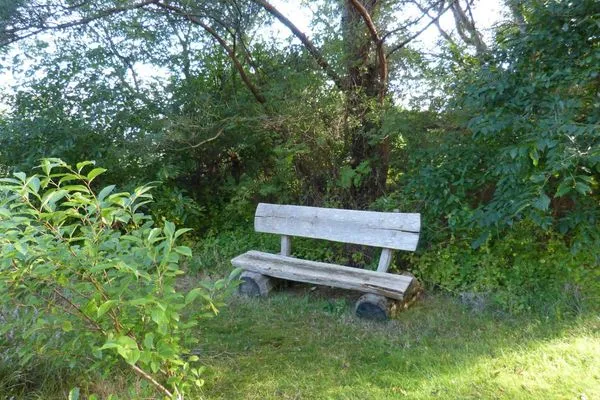 Bank im Garten der Ferienwohnung Bi Elschen in Nebel auf Amrum Haus Troeltsch Ferienwohnung  „Bi Elschen"