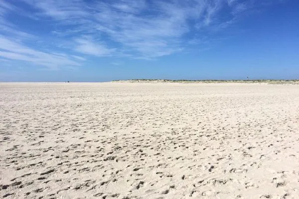 Sandstrand auf der Nordseeinsel Amrum  Ferienwohnung *Meeresleuchten*