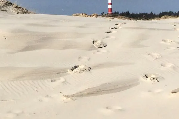Sandstrand mit Blick auf den Leuchtturm von Amrum  Ferienwohnung *Meeresleuchten*