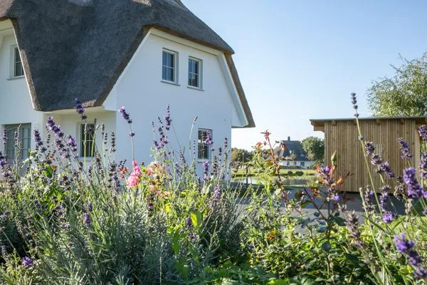 Hauptansicht  Ferienhaus Seeschwalbe 60