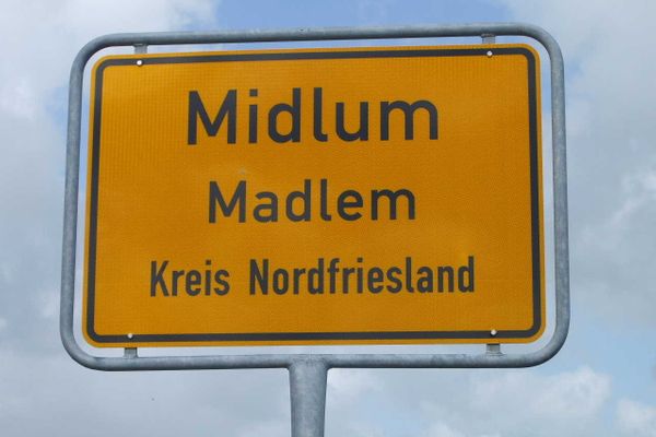 Midlum Zaunkönig Föhr  Die Grüne Insel - 