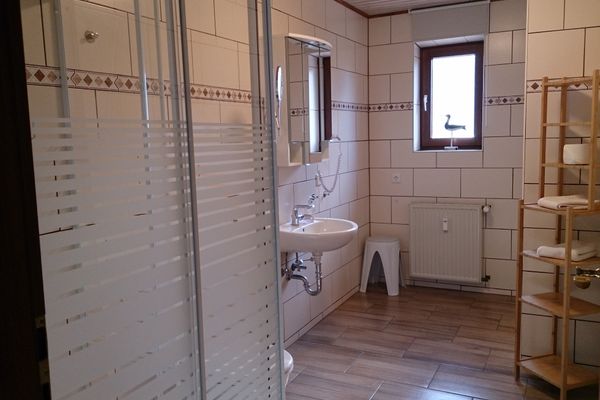 Midlum Zaunkönig Föhr  Die Grüne Insel - 