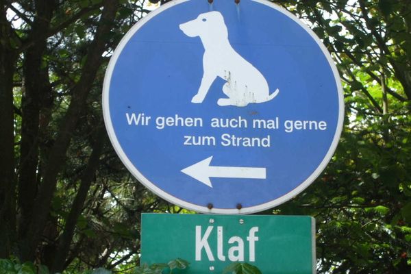 Midlum Zaunkönig Föhr  Die Grüne Insel - 