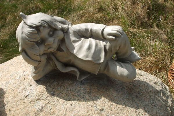 Midlum Zaunkönig Föhr  Die Grüne Insel - 