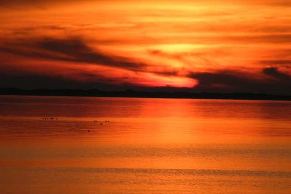 Midlum Zaunkönig Föhr  Die Grüne Insel - 