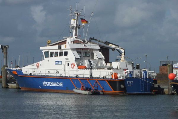 Midlum Zaunkönig Föhr  Die Grüne Insel - 