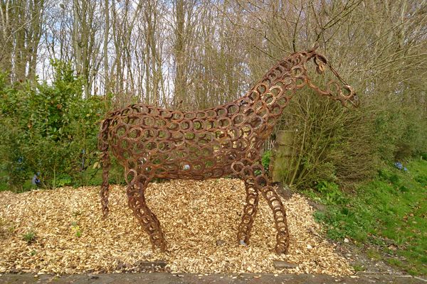 Midlum Zaunkönig Föhr  Die Grüne Insel - 