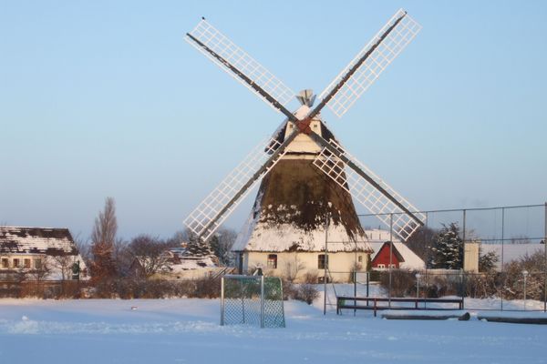 Midlum Zaunkönig Föhr  Die Grüne Insel - 