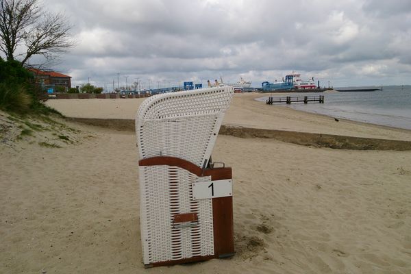 Midlum Zaunkönig Föhr  Die Grüne Insel - 