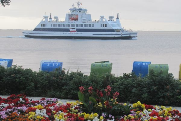  Habel Whg. 09 Deichkieker Föhr  Die Grüne Insel - 
