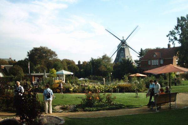  Habel Whg. 09 Deichkieker Föhr  Die Grüne Insel - 