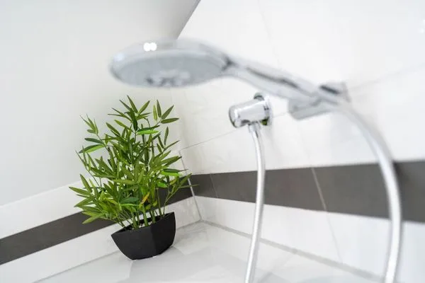 Reetdachhaus Taschenkrebs Reetdachhaus Taschenkrebs SPO Bad - 