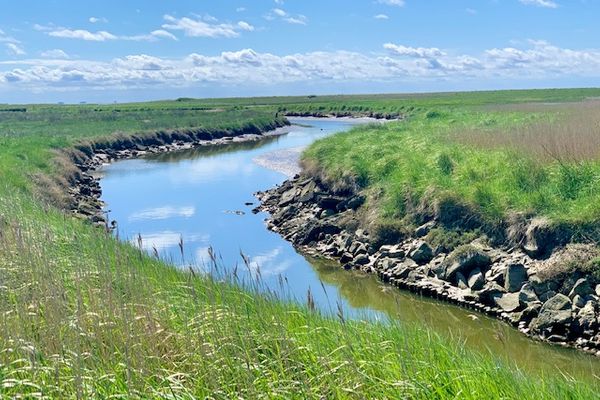 Haus Uthlande Uthlande Whg. 29 Weitblick Föhr  Die Grüne Insel - 