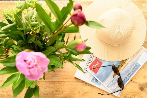 Blumenstrauß Residenz am Strand Deichpoofe -  Wohnung 1-06