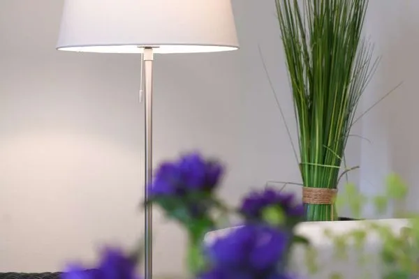 Dekoratives Detail Haus Inselrose Ferienwohnung Sandröschen