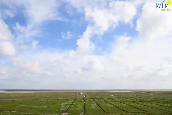 Meerblick Haus Klabautermann Ferienwohnung Karin's Nest