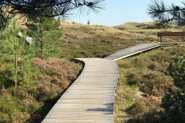 Bohlenweg durch die Dünen Richtung Leuchtturm Haus *Weiße Düne* Ferienwohnung *Weiße Düne 3 / OceanView*