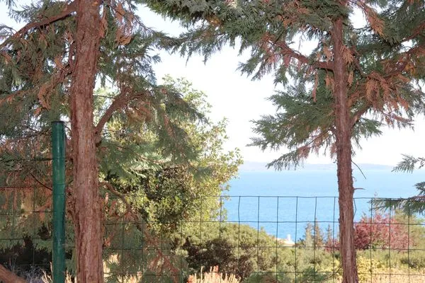 Sea view  Armonia Salanti