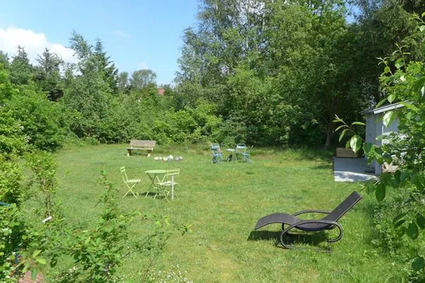 Wiese vom Ferienhaus Koggenhüs in Norddorf auf Amrum  Ferienhaus *Koggenhüs*