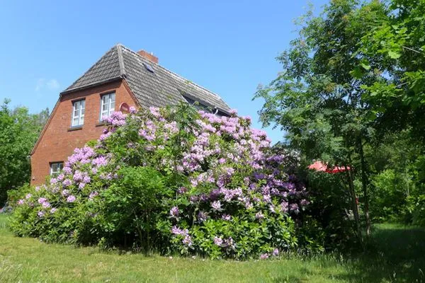 Garten des Ferienhaus Koggenhüs in Norddorf auf Amrum  Ferienhaus *Koggenhüs*