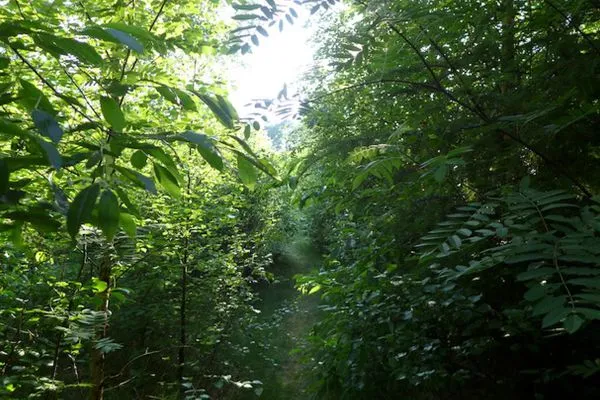 Garten mit Gartenhaus des Ferienhaus Koggenhüs in Norddorf auf Amrum  Ferienhaus *Koggenhüs*