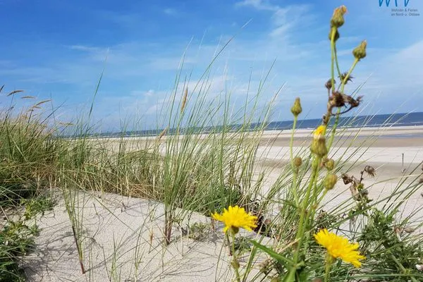 Strand Kaiserhof Ferienwohnung 4