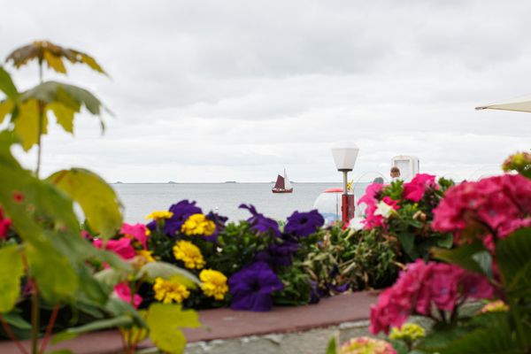  Gästehaus Hoferichter,  Whg 1 Föhr  Die Grüne Insel - 